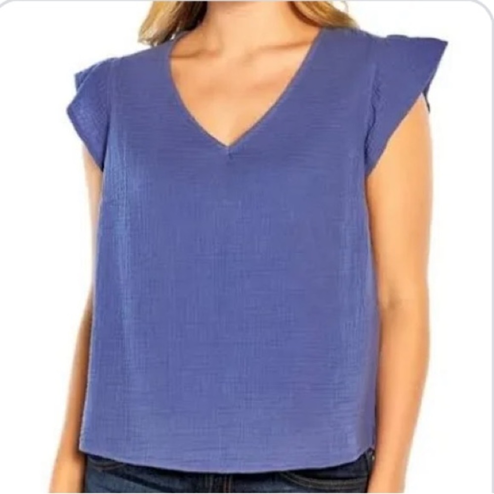 Cotton Gauze Periwinkle V-Neck Ruffle Sleeve Top